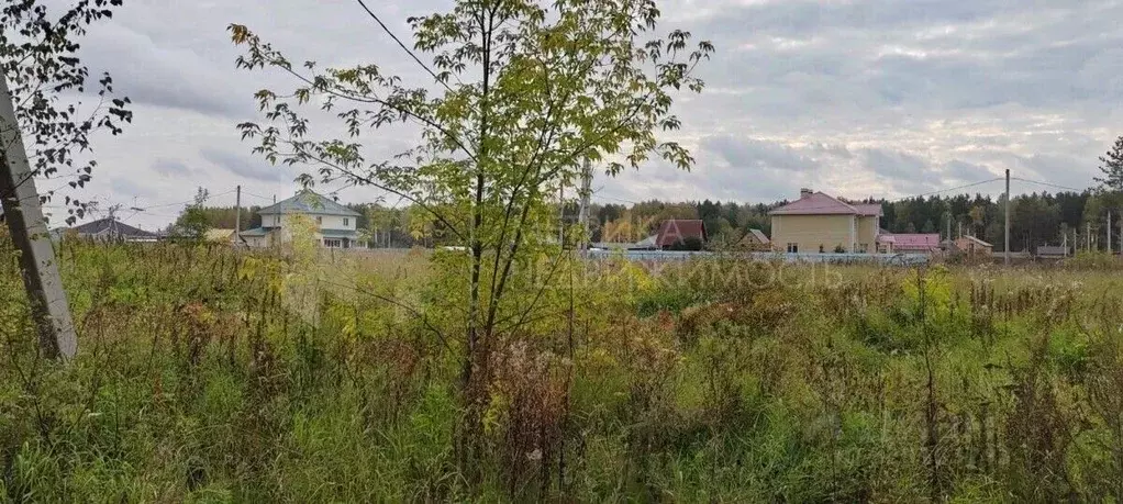 Участок в Тюменская область, Тюменский муниципальный округ, д. Ушакова ... - Фото 1