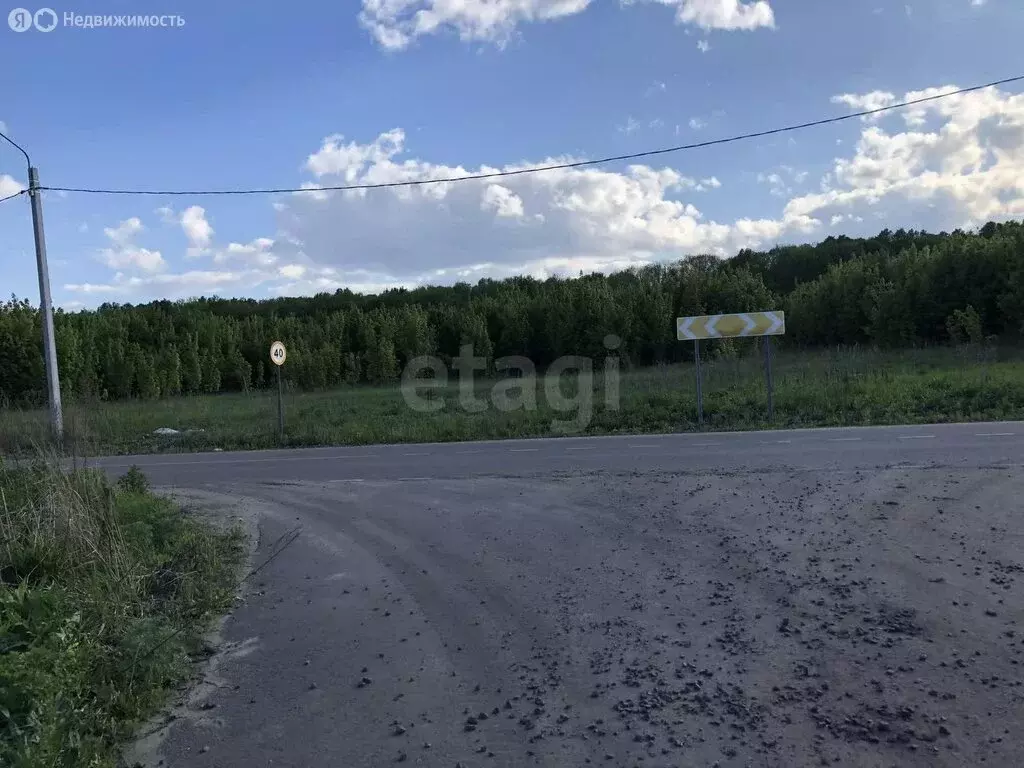 Участок в Республика Мордовия, городской округ Саранск, рабочий ... - Фото 1