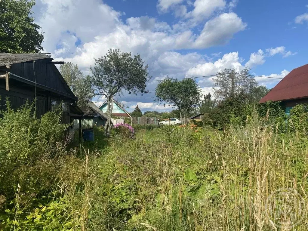 Участок в Ленинградская область, Лужский район, Серебрянское с/пос, д. ... - Фото 2