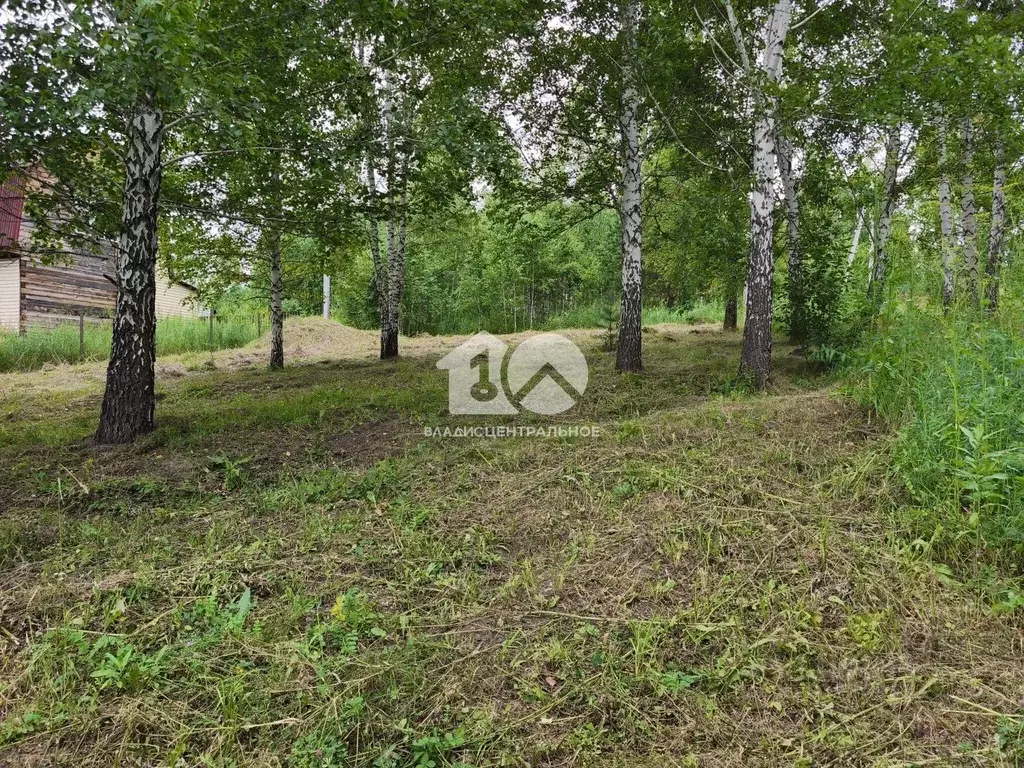 Участок в Новосибирская область, Новосибирск Зеленодолинская ул., ... - Фото 1