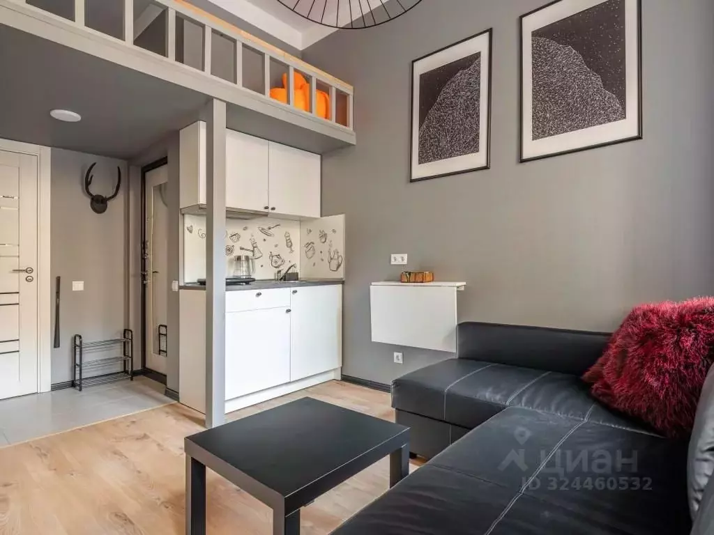 1-к кв. Санкт-Петербург ул. Рубинштейна, 36 (19.0 м) - Фото 2