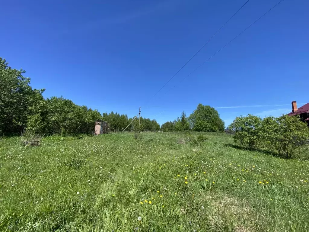 Участок в Владимирская область, Александровский район, ... - Фото 1