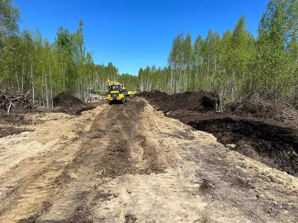 Участок в Тюменская область, Тюменский район, д. Решетникова ул. ... - Фото 1