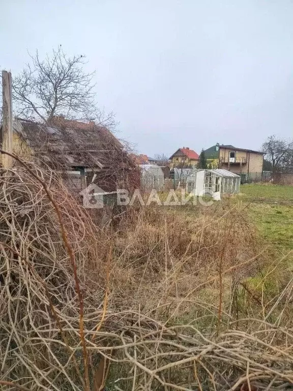 Участок в Калининградская область, Балтийск туп. Солнечный, 3 (8.07 ... - Фото 1