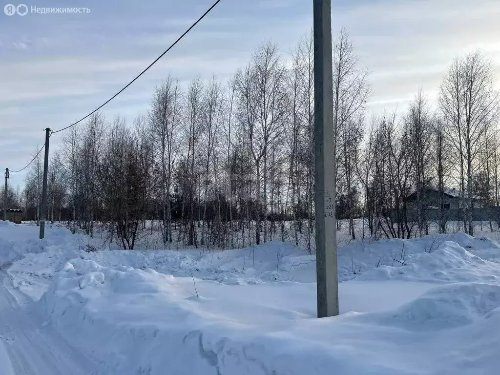 Участок в Бердск, микрорайон Раздольный (6.9 м) - Фото 2