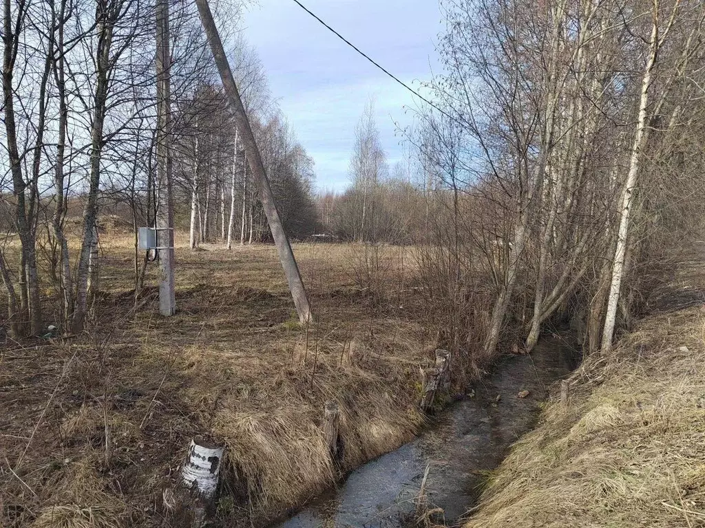 Участок, 21 сот., поселения (ижс) - Фото 1