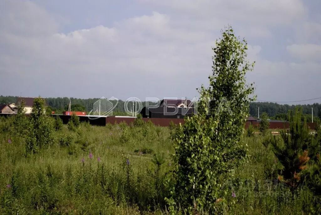 Участок в Тюменская область, Тюменский район, с. Кулига, Кулига-2 мкр  ... - Фото 0