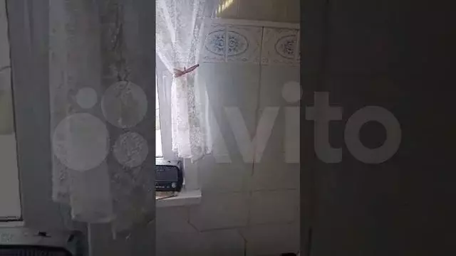 Дом 51,1 м на участке 52 сот. - Фото 1