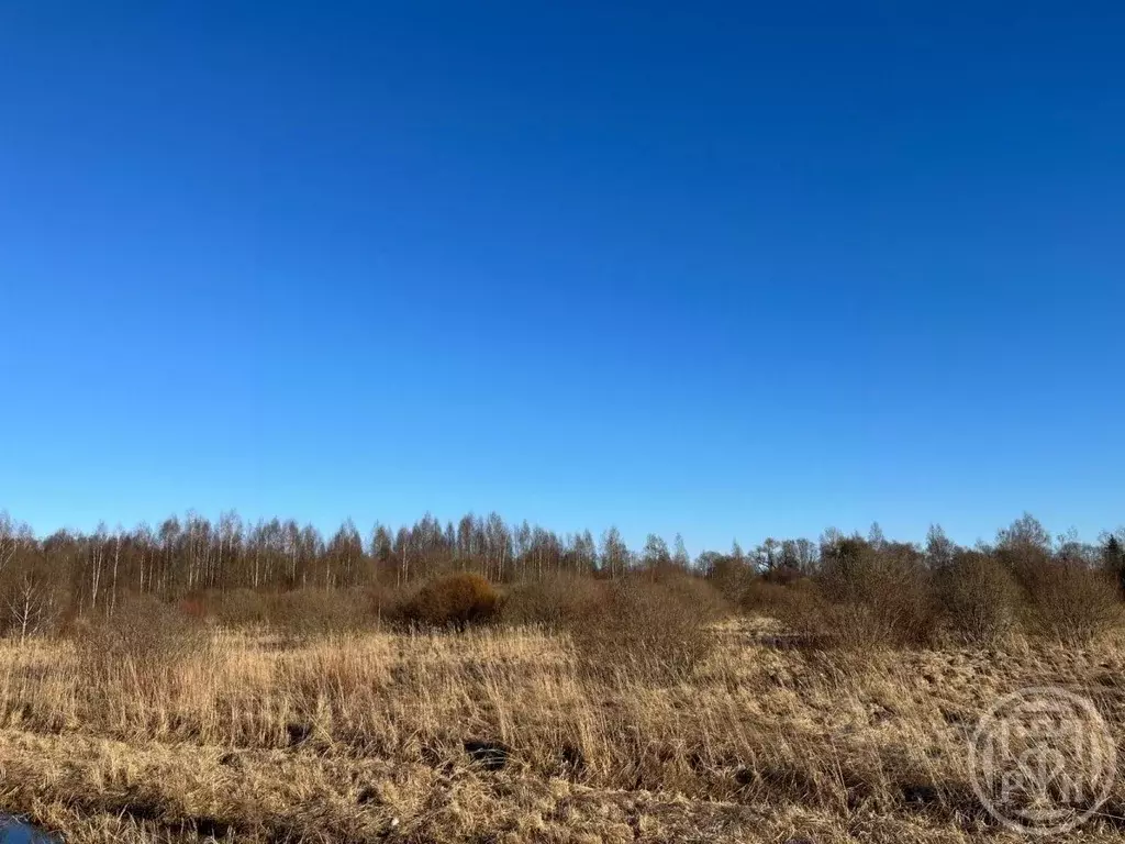 Участок в Псковская область, Новоржев Псковская ул. (100.0 сот.) - Фото 1