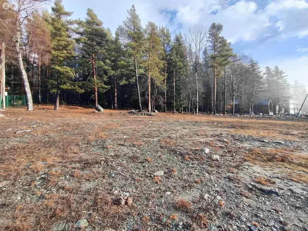 Участок в село Архыз, 91Н-016, 2-й километр (50 м) - Фото 1