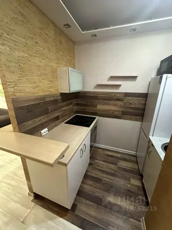 Студия Санкт-Петербург Кондратьевский просп., 70к1 (25.0 м) - Фото 2