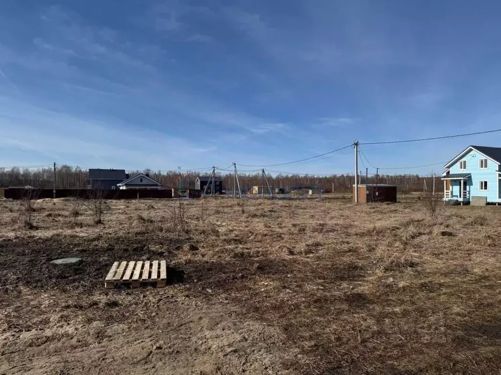 Участок в Нижегородская область, Богородский муниципальный округ, д. ... - Фото 1