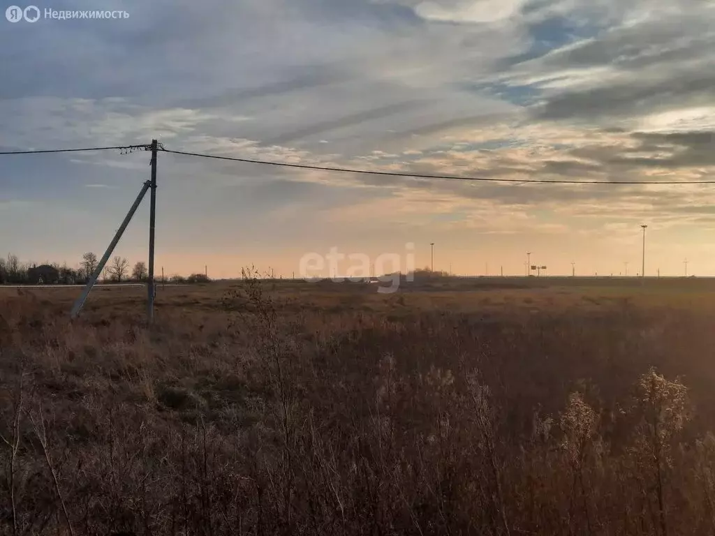 Участок в Калининградская область, Гурьевский муниципальный округ, ... - Фото 1