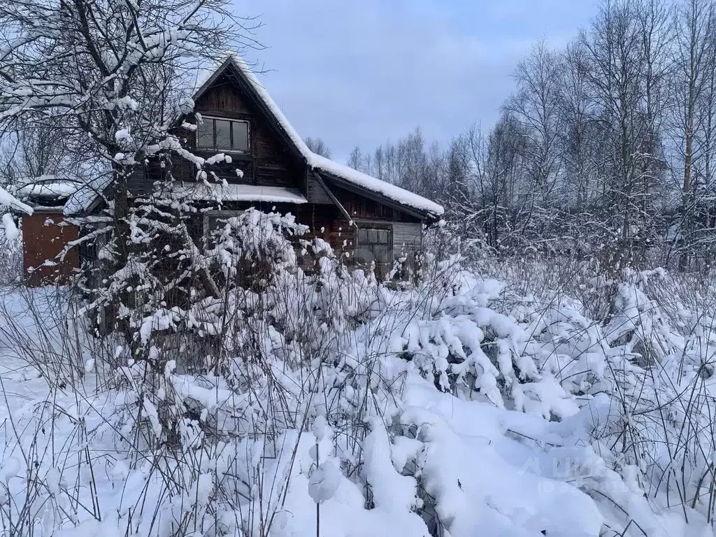 Участок в Вологодская область, Вологда Доронино садоводческое ... - Фото 1