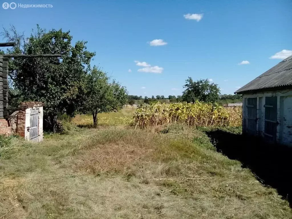 Участок в Белгородская область, Алексеевка (47 м) - Фото 1