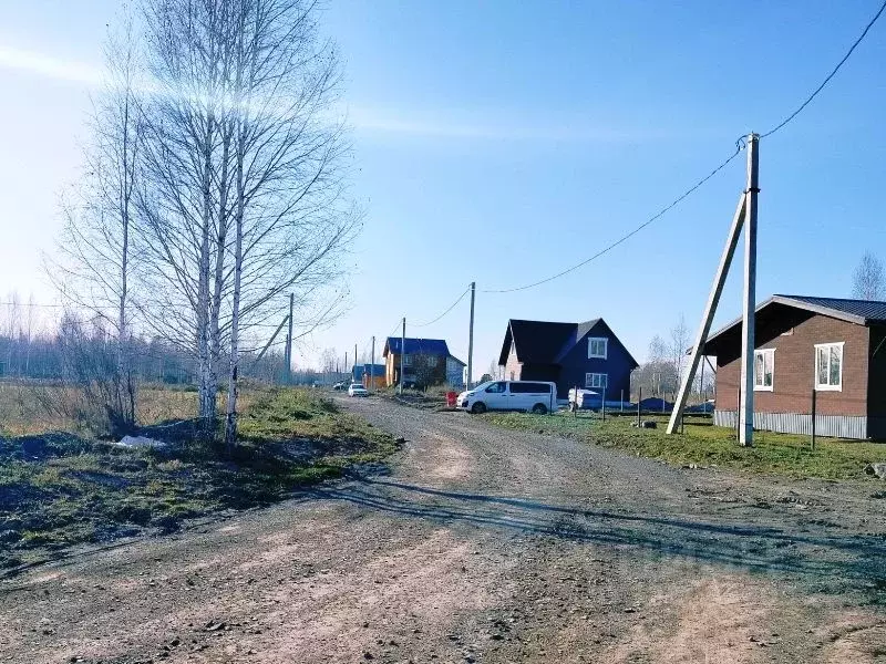 Участок в Новосибирская область, Новосибирский район, Станционный ... - Фото 2