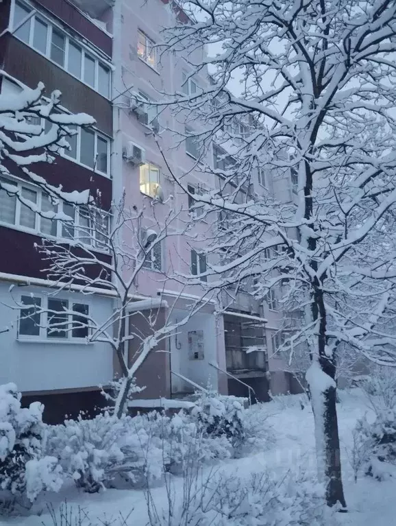 1-к кв. Адыгея, Майкоп ул. Михайлова, 13 (34.0 м) - Фото 1