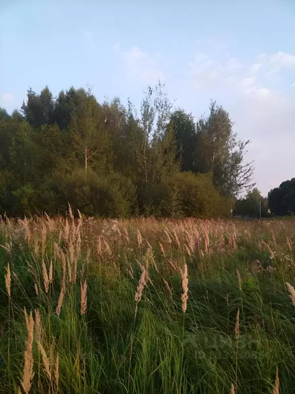 Участок в Московская область, Талдомский городской округ, д. Шатеево  ... - Фото 1