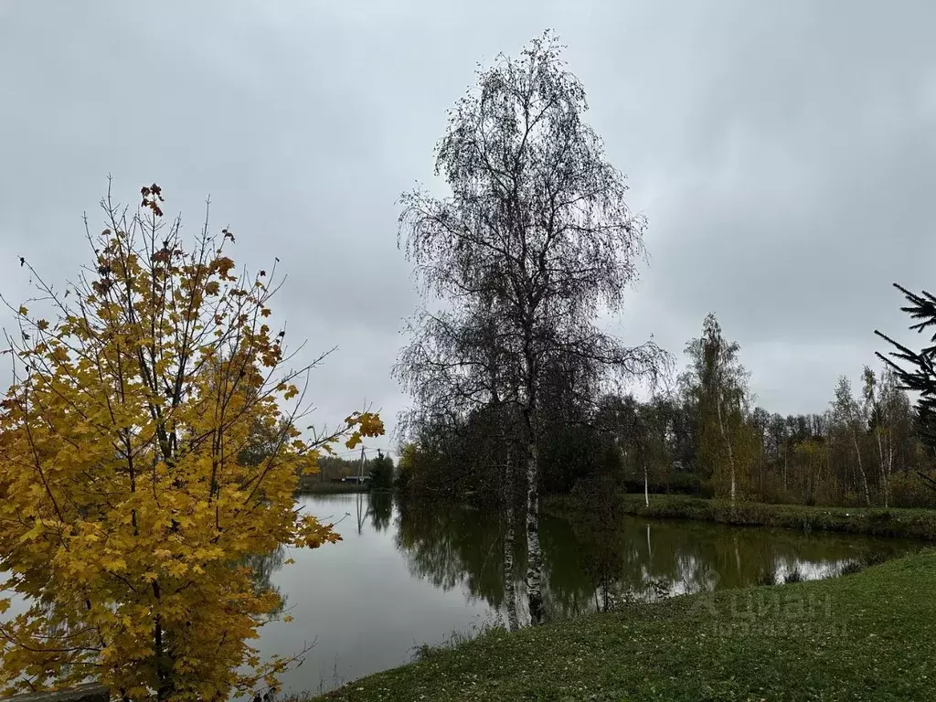 Участок в Московская область, Мытищи городской округ, д. Шолохово  ... - Фото 0