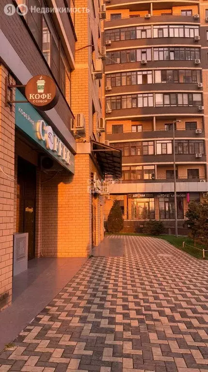 Помещение свободного назначения (34.2 м) - Фото 2