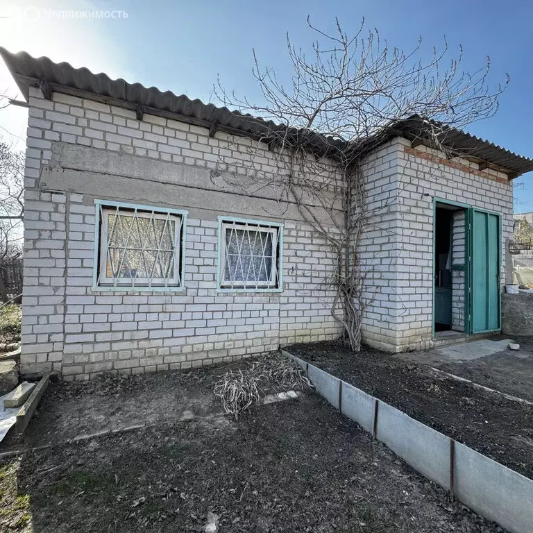 Участок в Волгоград, СНТ Сластёна, 2-я линия (10 м) - Фото 1