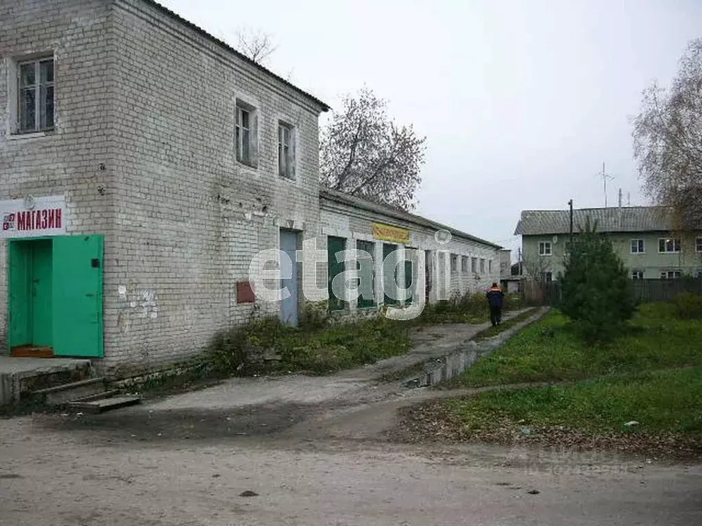 Производственное помещение в Владимирская область, Муромский район, ... - Фото 0
