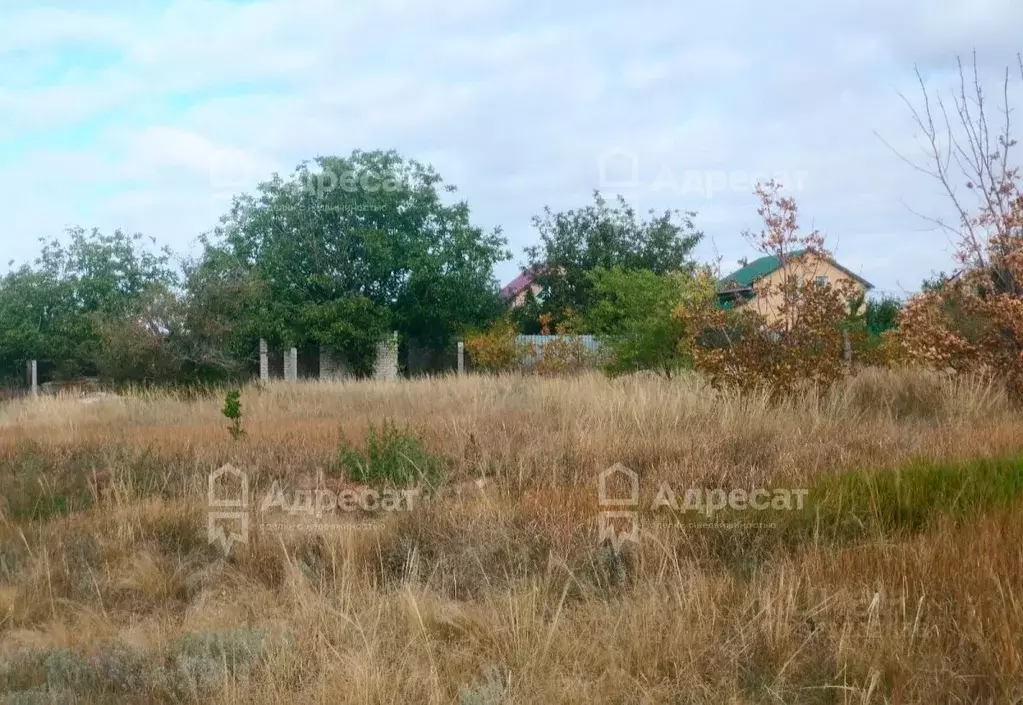 Участок в Волгоградская область, Городищенский район, Царицынское ... - Фото 0
