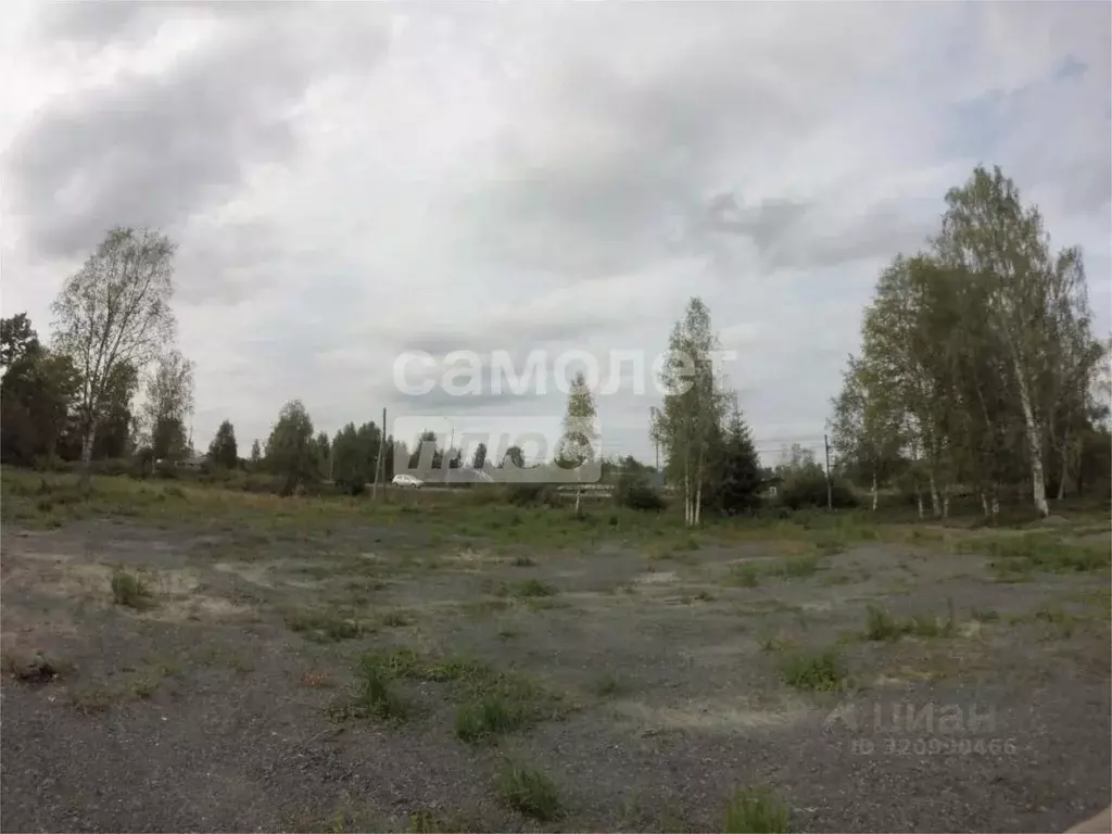 Участок в Карелия, Пряжинский район, пос. Чална Шоссейная ул., 38 ... - Фото 1