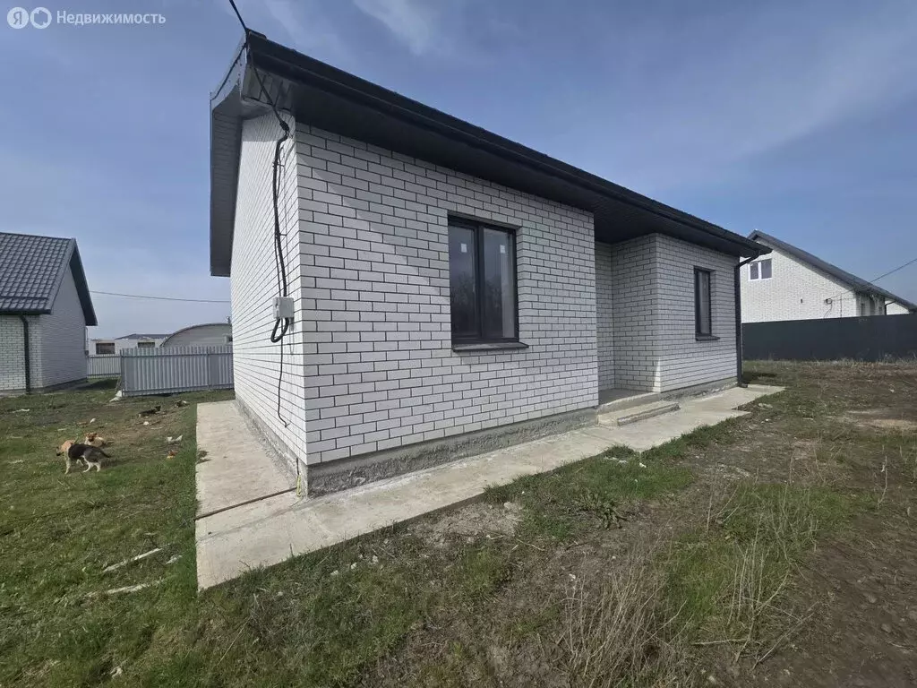 Дом в станица Нововеличковская, улица Пушкина, 28 (60 м) - Фото 1