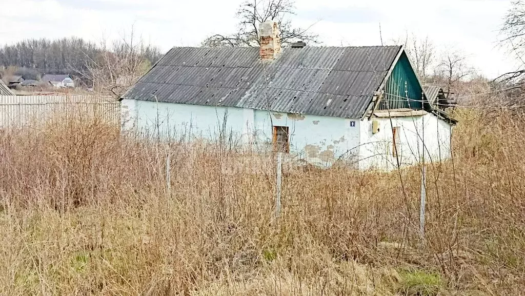 Дом в посёлок совхоза  Нижнедевицкий , Дорожная улица, 9 (30.1 м) - Фото 2