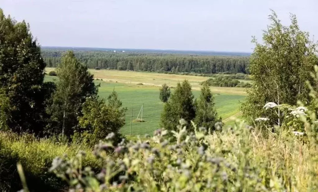 Участок в Ярославская область, Ярославский муниципальный округ, д. ... - Фото 2