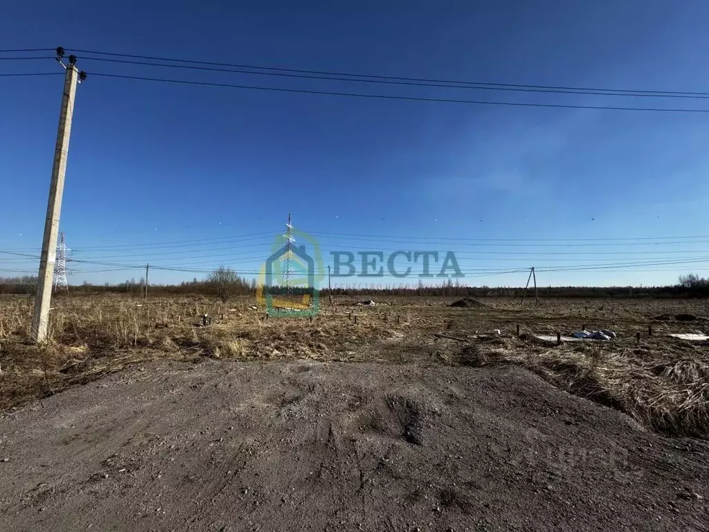 Участок в Ленинградская область, Ломоносовский район, Виллозское ... - Фото 2