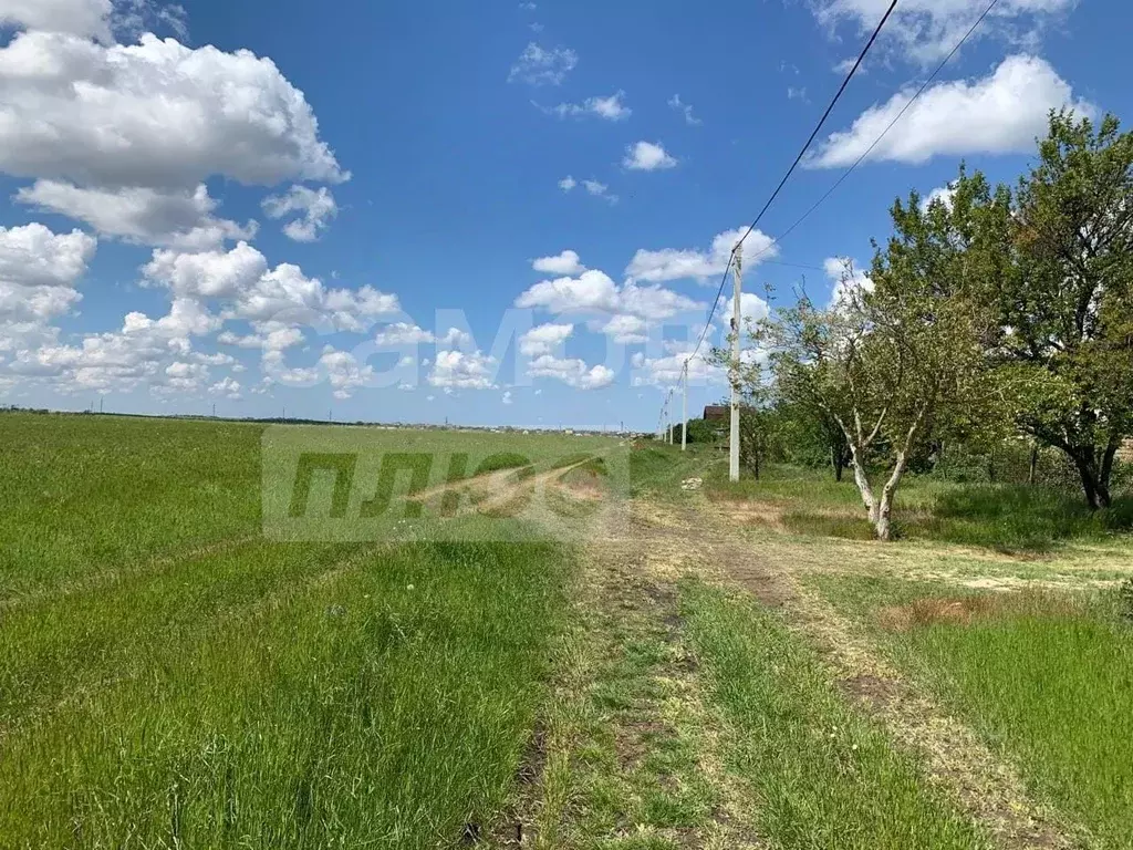 Участок в Крым, Симферопольский район, Трудовское с/пос, Родничок СНТ  ... - Фото 1