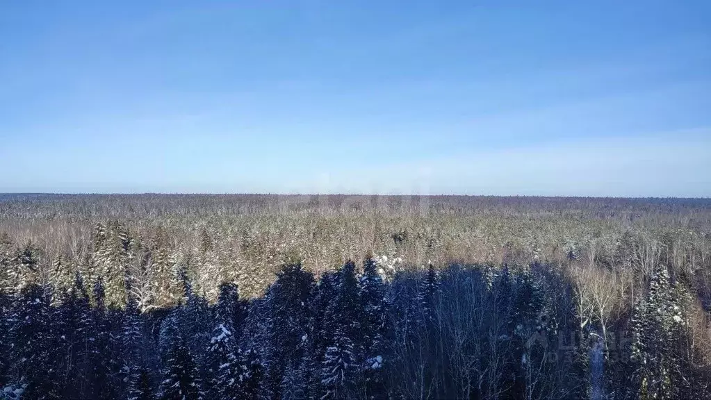 1-к кв. Пермский край, Пермь Хабаровская ул., 64 (43.9 м) - Фото 1