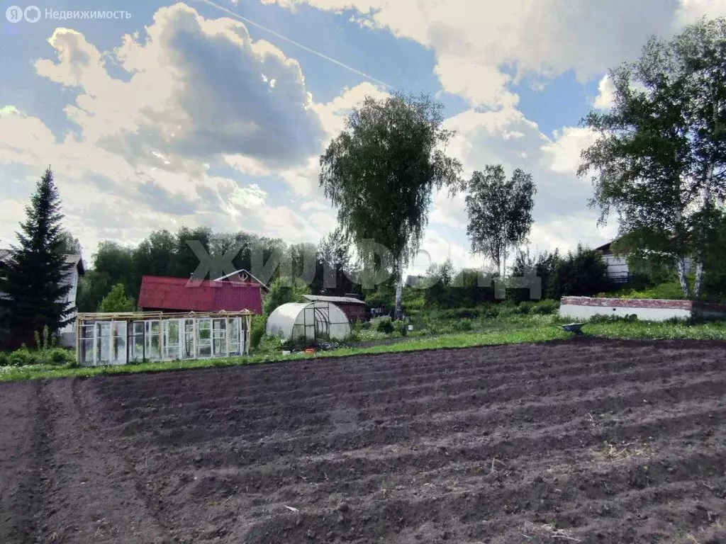 Участок в Раздольненский сельсовет, ДНТ Лекон (14.2 м) - Фото 1