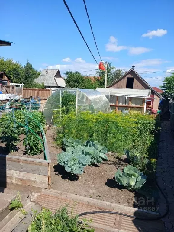 Дом в Иркутская область, Иркутск Костромская ул., 8 (42 м) - Фото 1