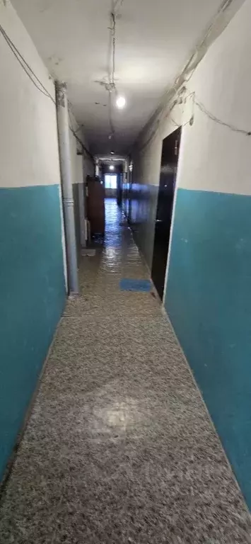 Комната Ростовская область, Ростов-на-Дону Северный мкр, ул. Беляева, ... - Фото 1