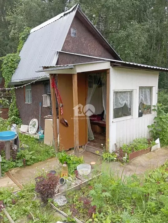 Участок в Новосибирская область, Новосибирск Заслуженный Ветеран ... - Фото 1