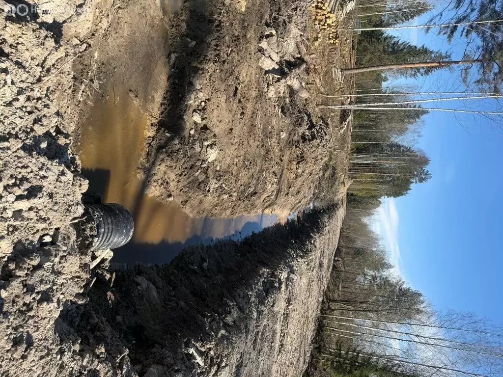 Участок в Ленинградская область, Тосно (11 м) - Фото 2