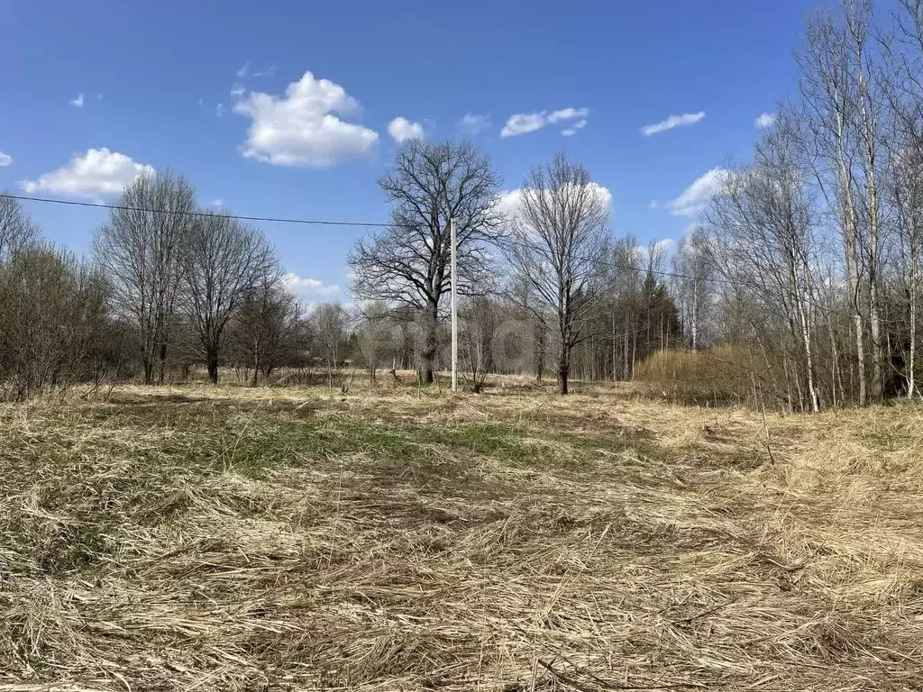 Участок в Смоленская область, Кардымовский муниципальный округ, ... - Фото 1