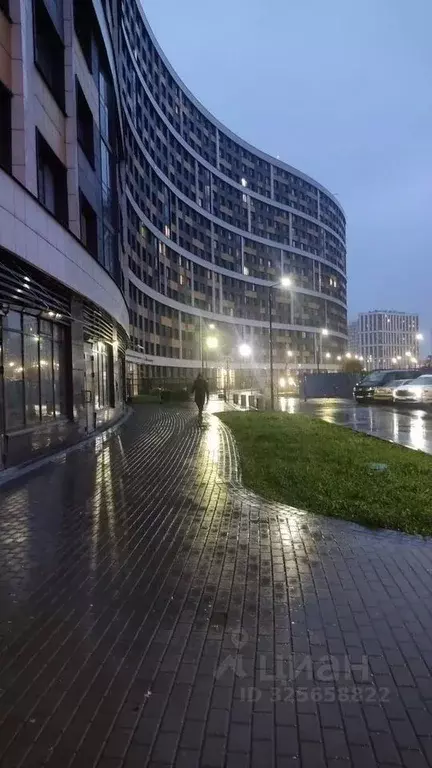 Студия Ленинградская область, Мурино Всеволожский район, просп. ... - Фото 1