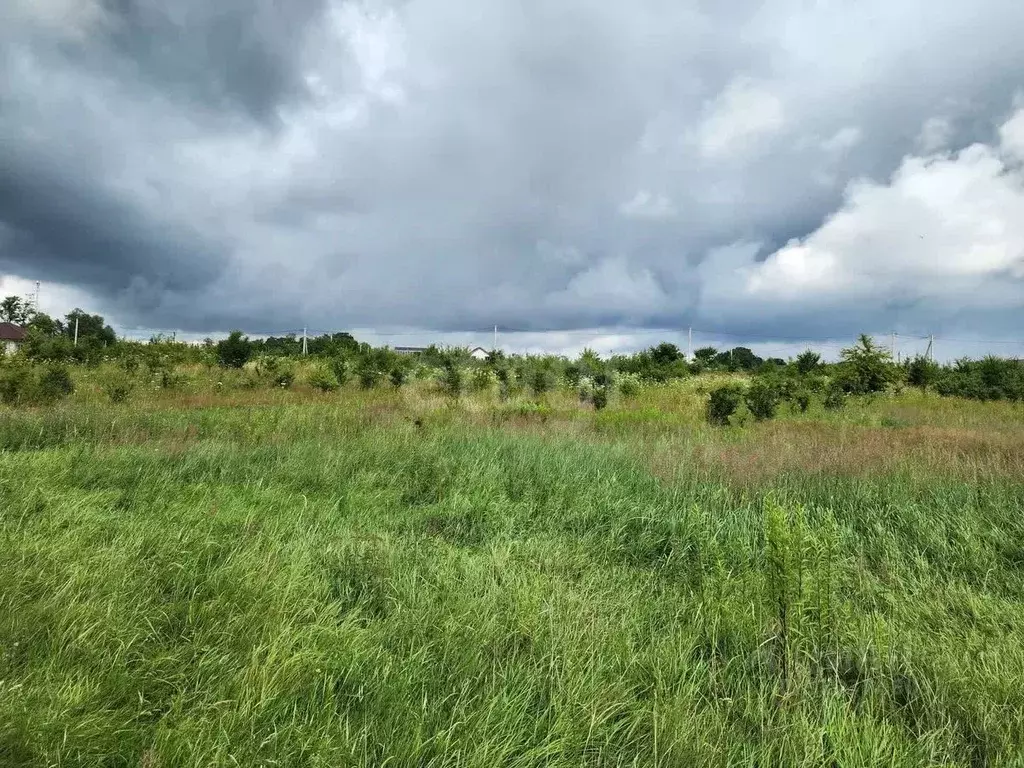 Участок в Калининградская область, Багратионовский муниципальный ... - Фото 2