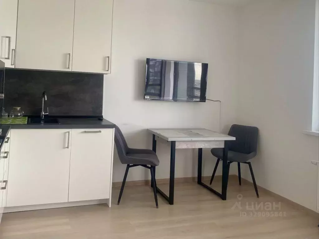 Студия Санкт-Петербург пос. Шушары, просп. Старорусский, 13к2 (23.9 м) - Фото 2