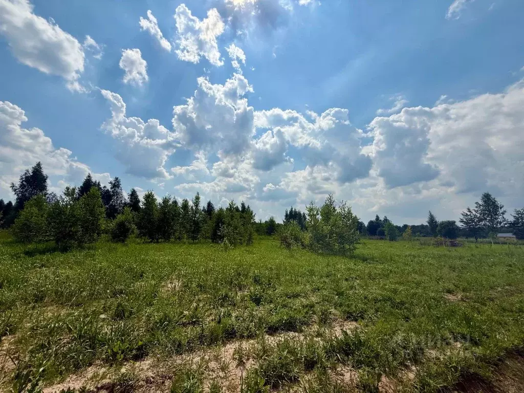 Участок в Московская область, Раменский муниципальный округ, д. Жуково ... - Фото 2