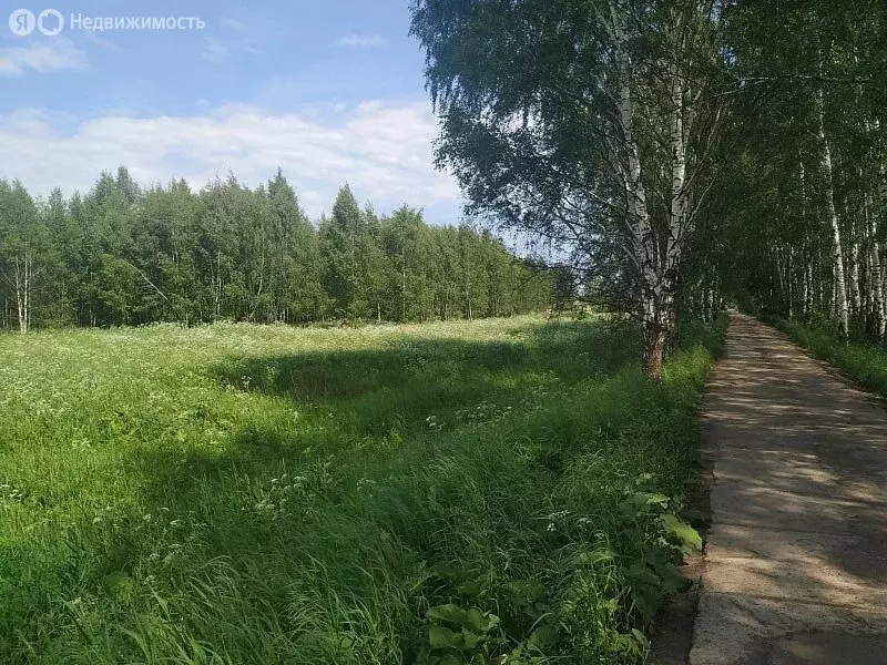 Участок в Богородский городской округ, массив Подмосковный (9.2 м) - Фото 1