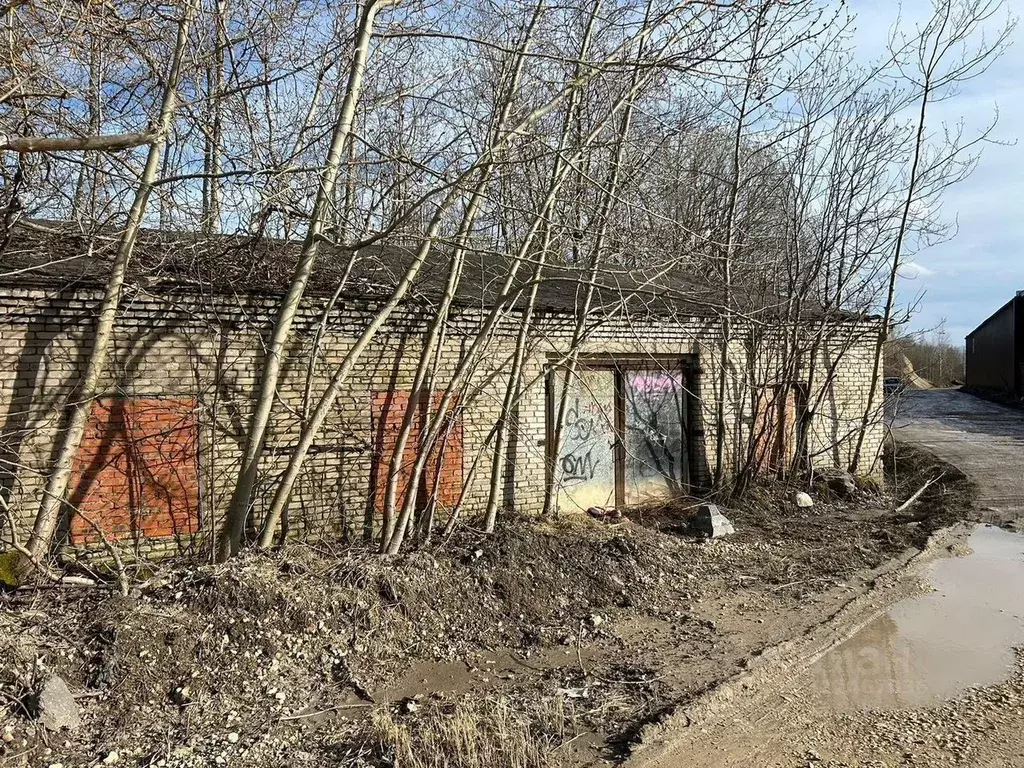 Помещение свободного назначения в Ленинградская область, Волосово ул. ... - Фото 1