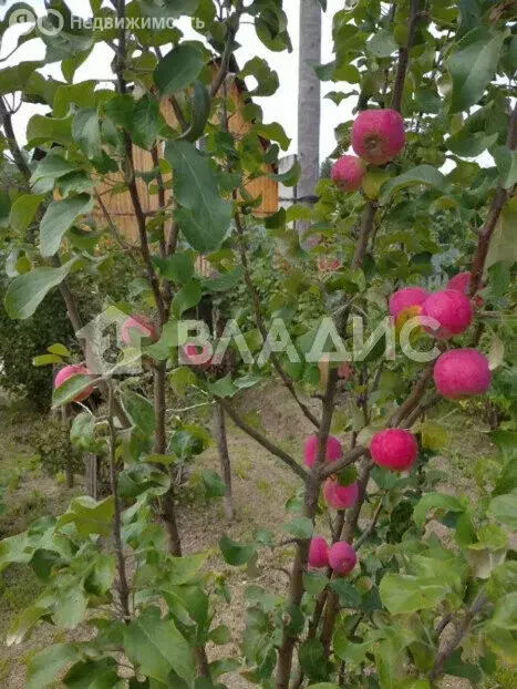 Участок в Тюменская область, Тобольский муниципальный округ, ... - Фото 2