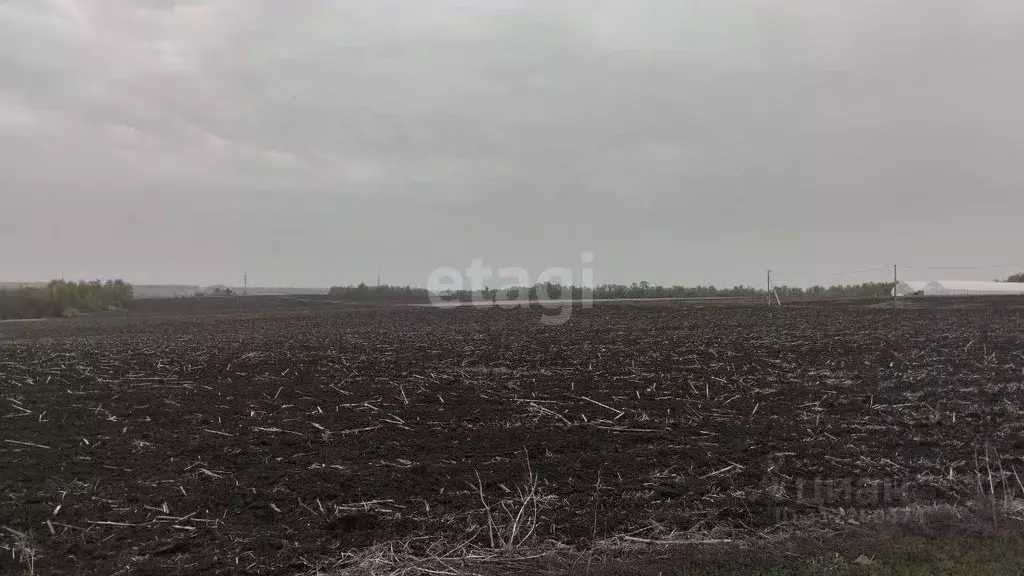 Участок в Белгородская область, Белгородский район, Дубовское с/пос, ... - Фото 1