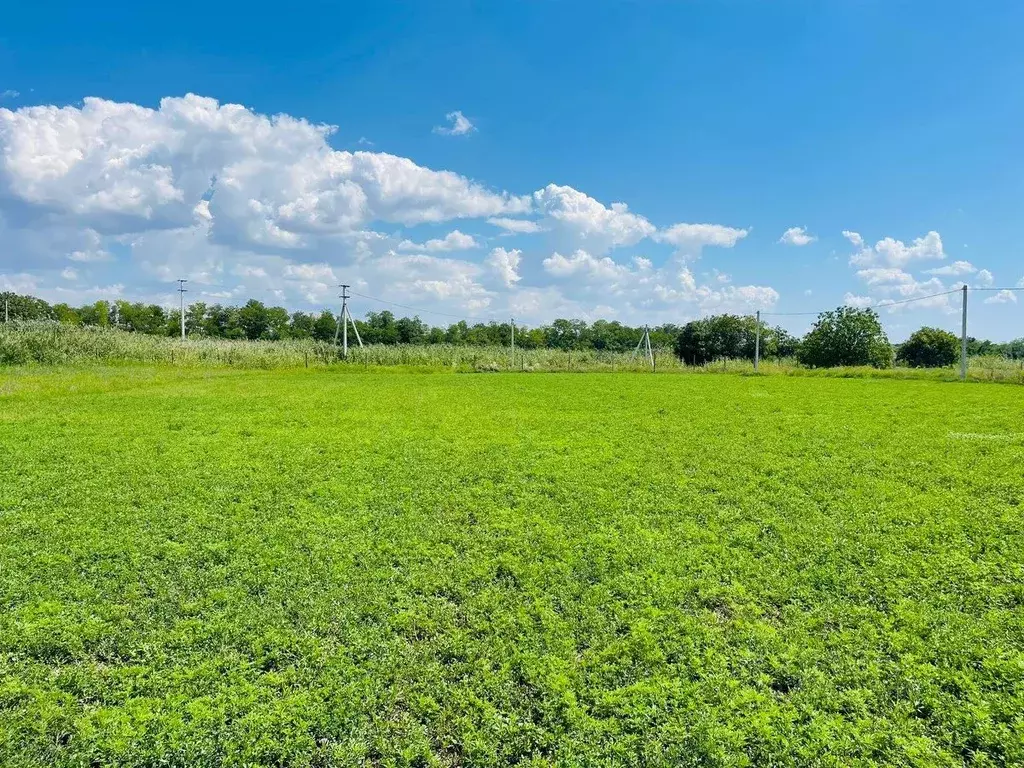 Участок в Краснодарский край, Тимашевский район, Дербентское с/пос, ... - Фото 1