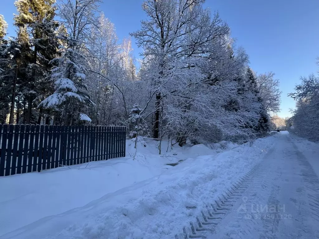 Участок в Московская область, Пушкинский городской округ, д. Могильцы, ... - Фото 1